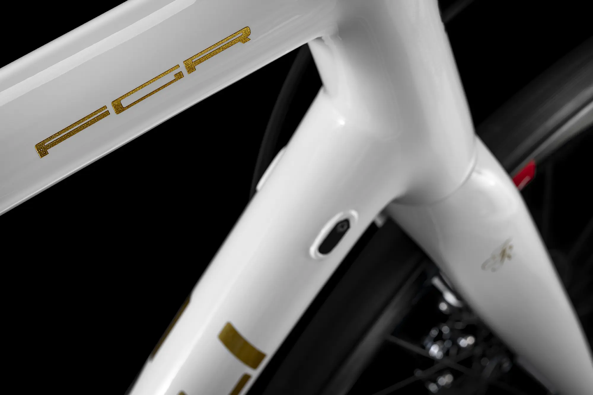 FGR_bianca_part_1_bassa